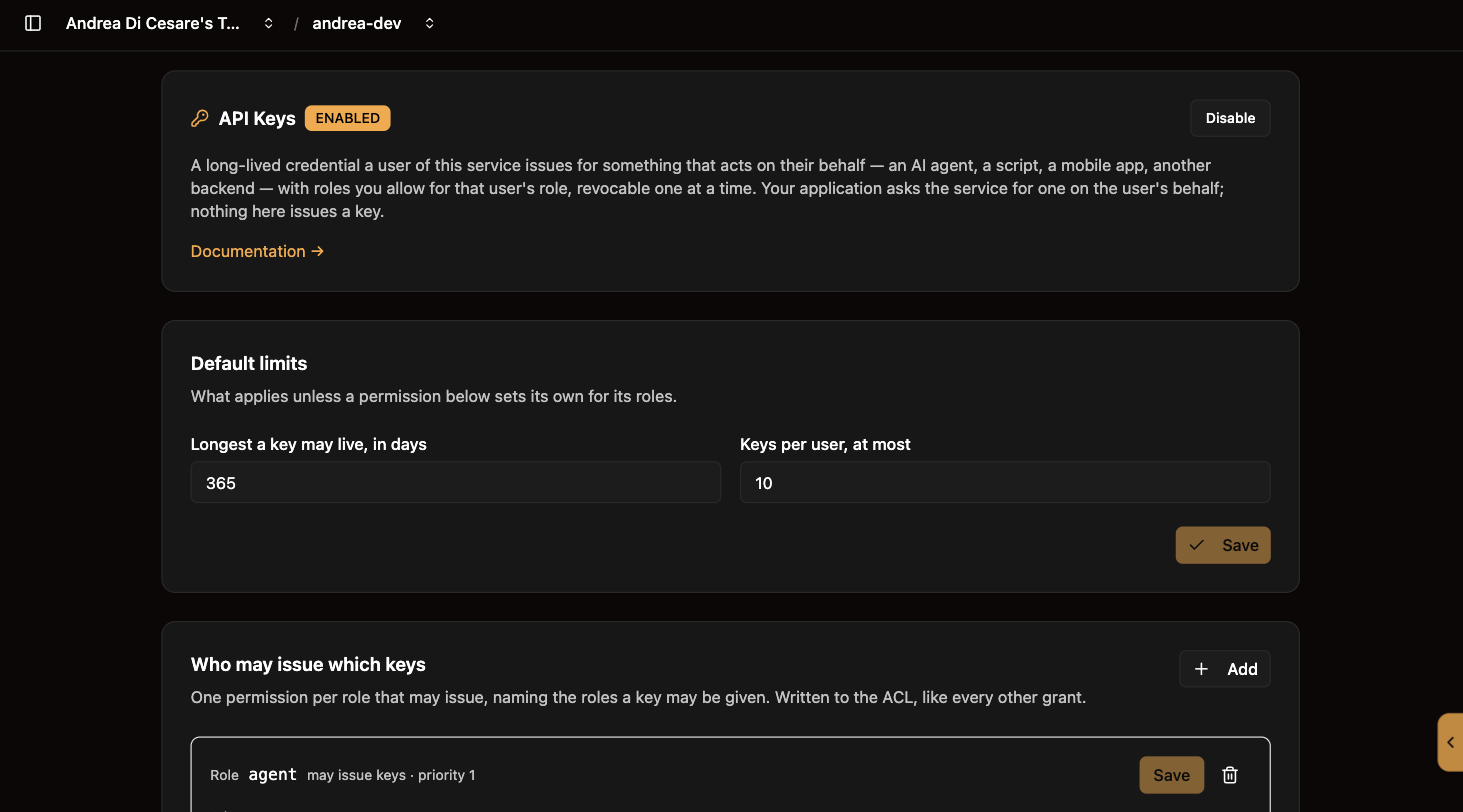 The API Keys page: the plugin enabled