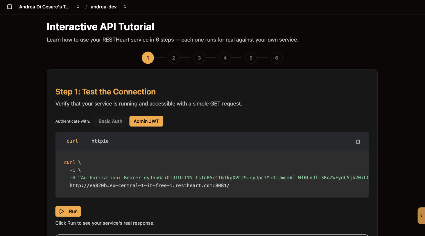 The interactive API tutorial in the console