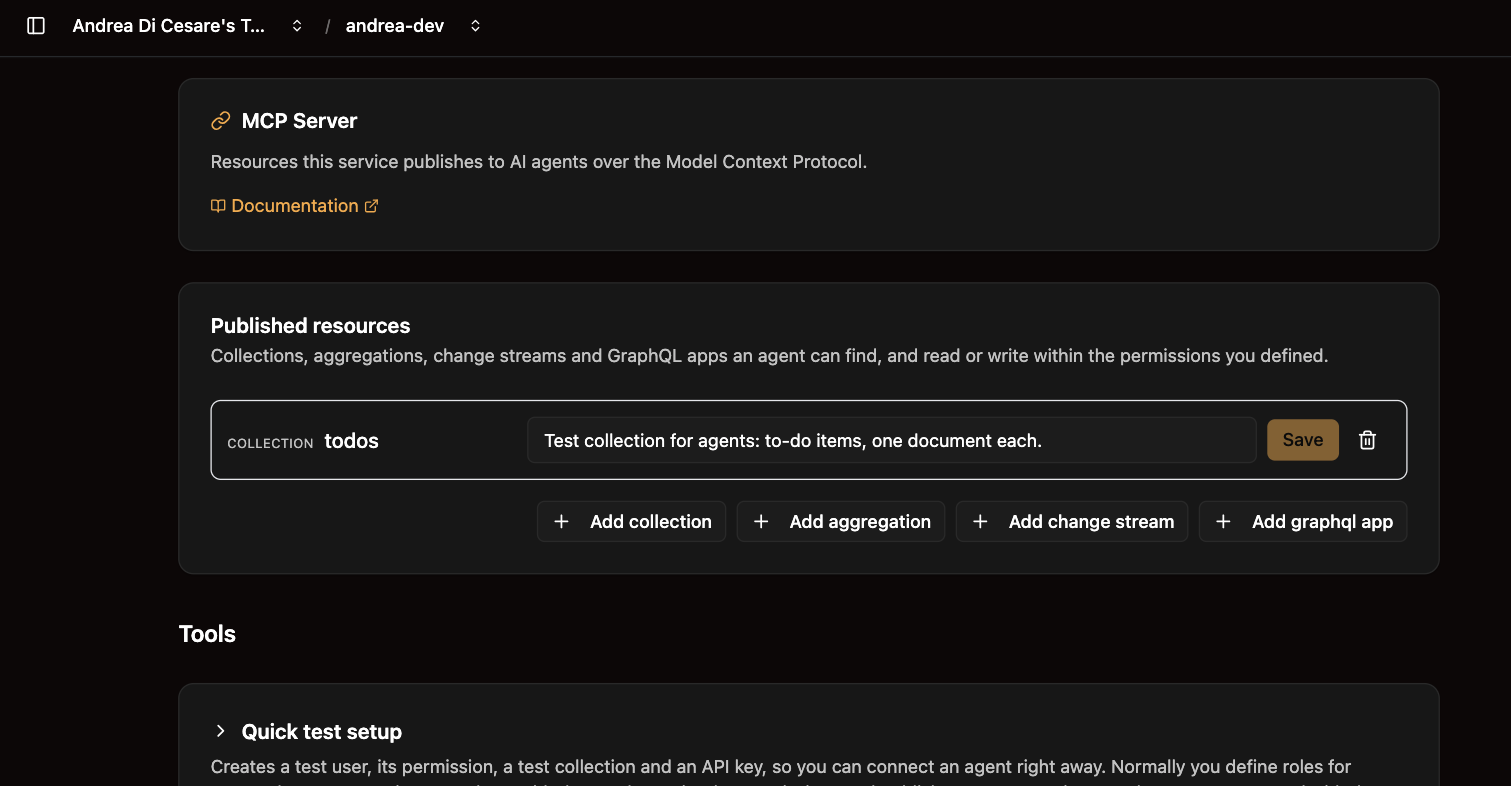 The MCP Server page: the published resources with a description each